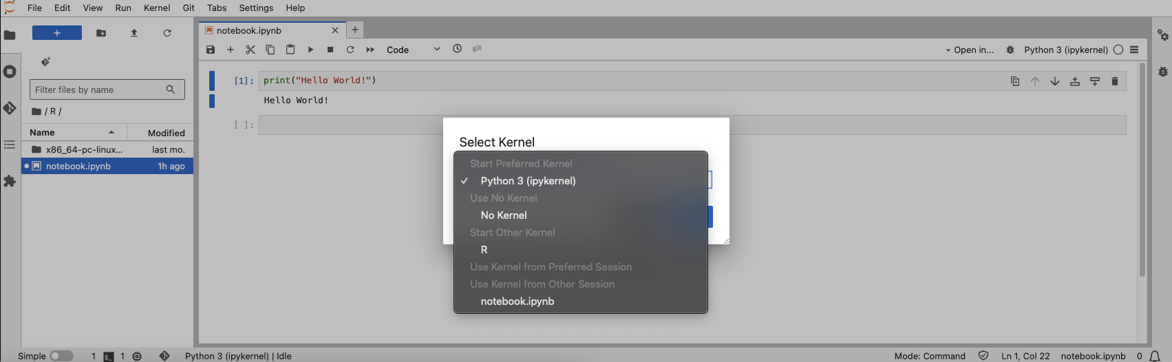 Notebook Kernels